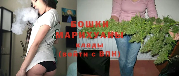 прущие грибы Пестово