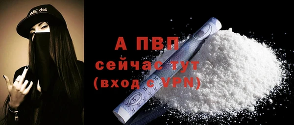 прущие грибы Пестово