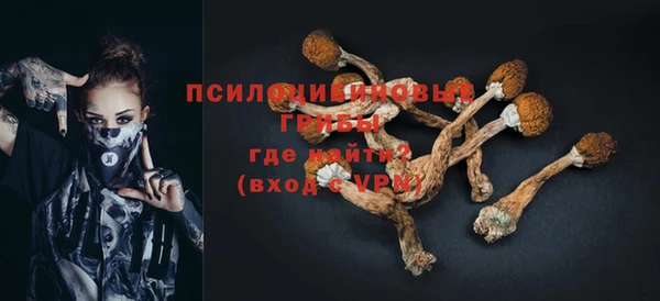прущие грибы Пестово