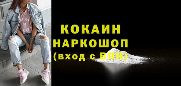 гашик Осинники
