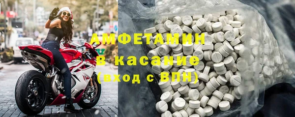 прущие грибы Пестово