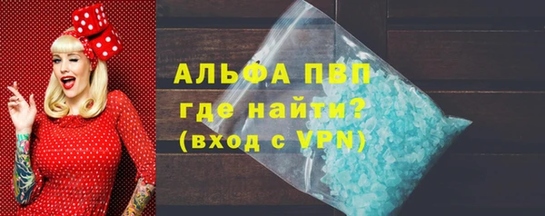 гашик Осинники